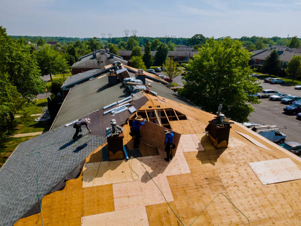 Roof Repair Estimates in Brunswick, GA