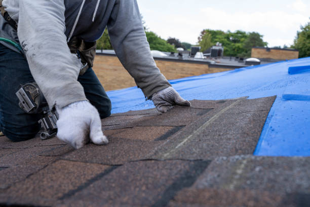 Roof Installation Near Me in Brunswick, GA