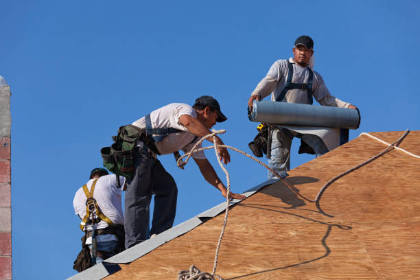 Best Roof Gutter Cleaning  in Brunswick, GA