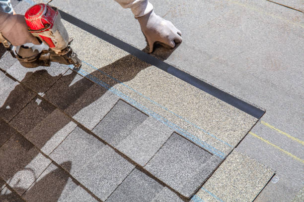 Best Metal Roofing Contractor  in Brunswick, GA